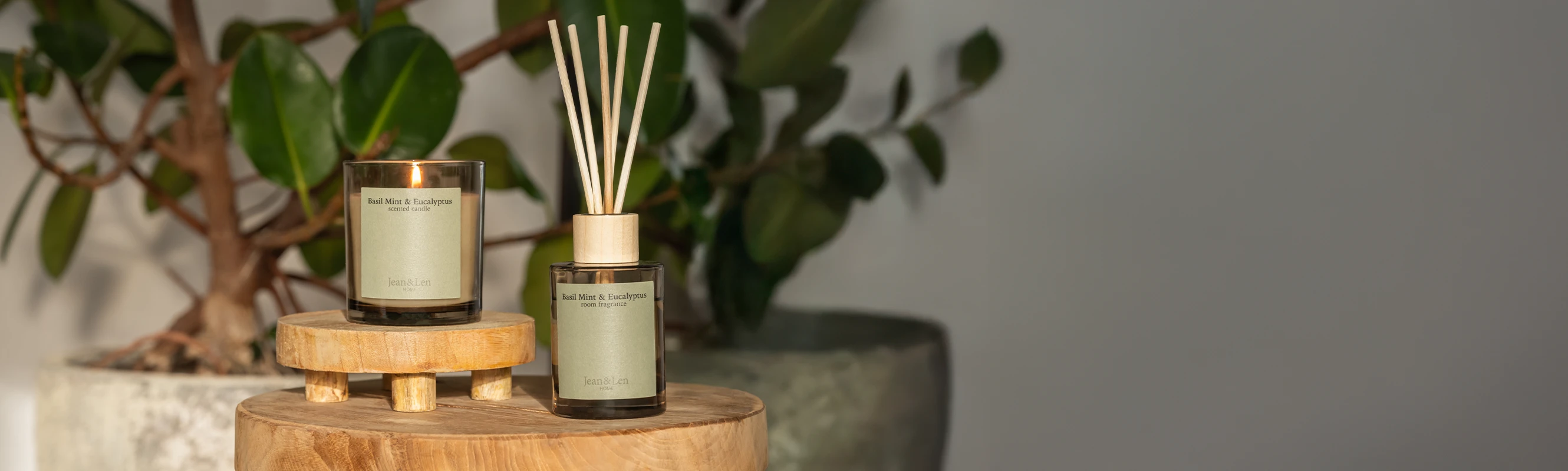Duftkerze und Raumduft Basil Mint & Eucalyptus auf einem Holz-Beistelltisch mit Pflanzen im Hintergrund.
