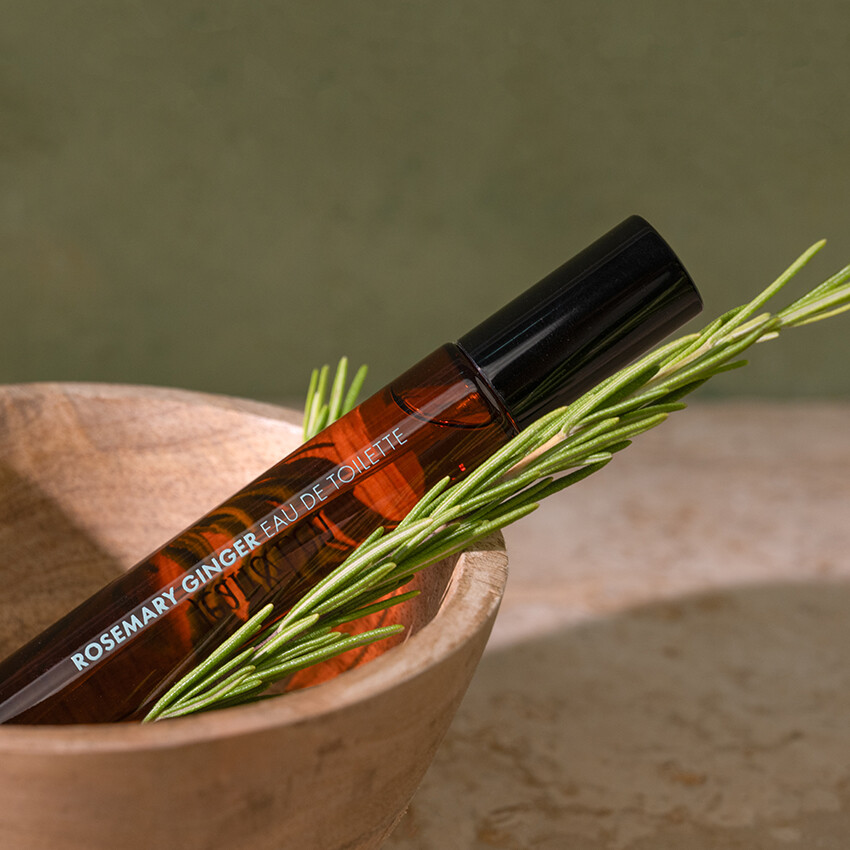 boutique-edt-rogi-01